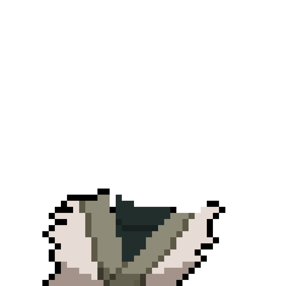 Samurai Training Gear